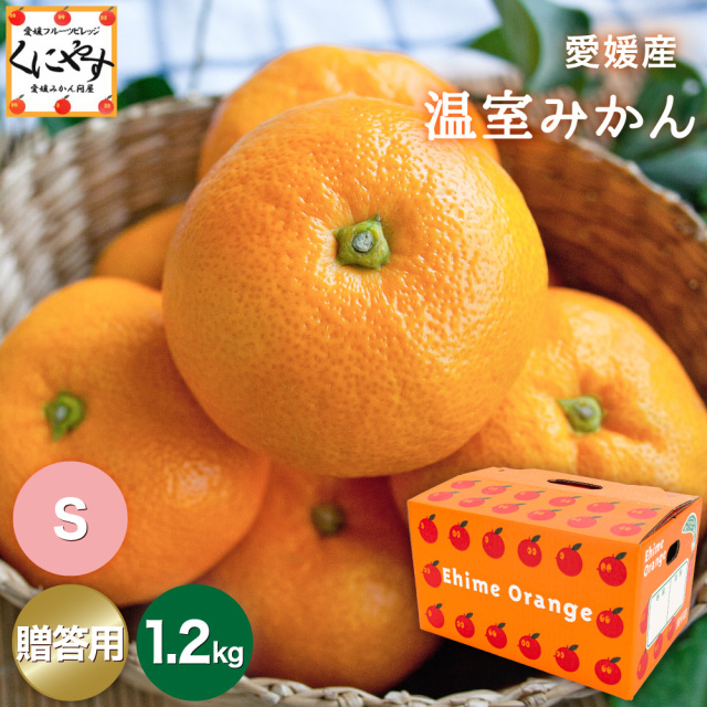 温室みかん