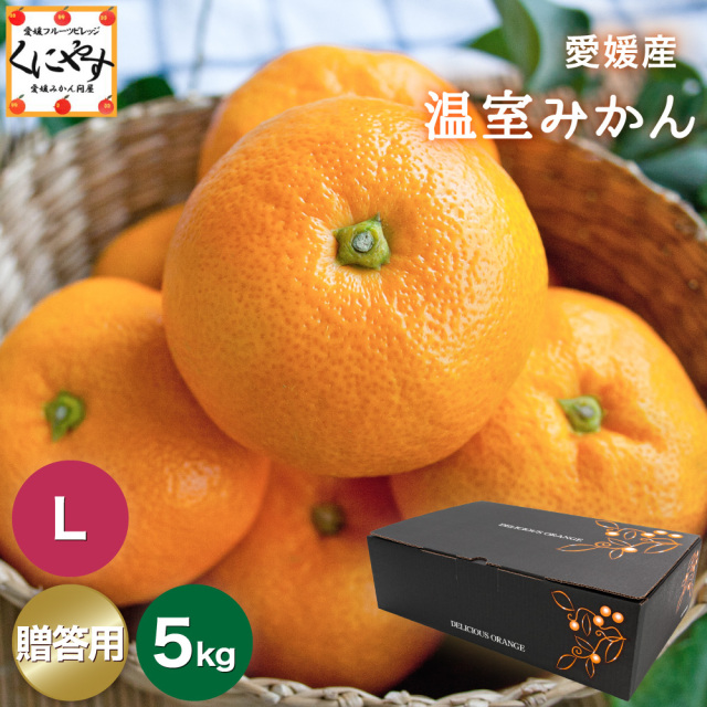 温室みかん