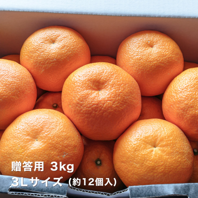 贈答伊予柑3kgイメージ