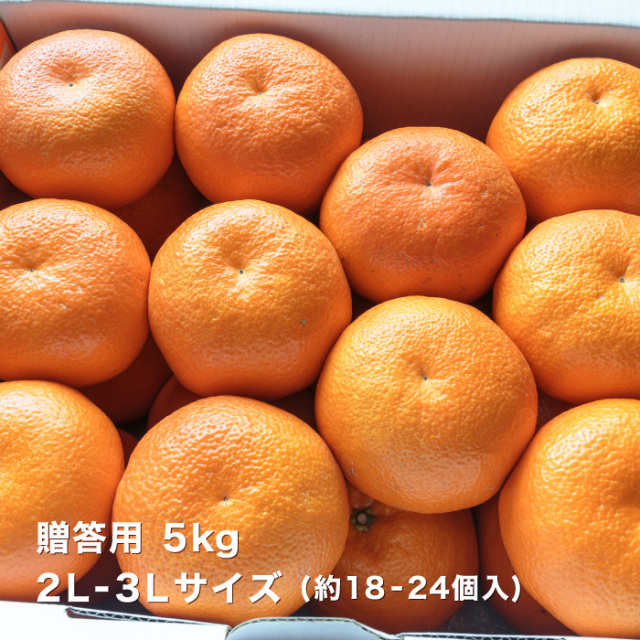 贈答伊予柑5kgイメージ