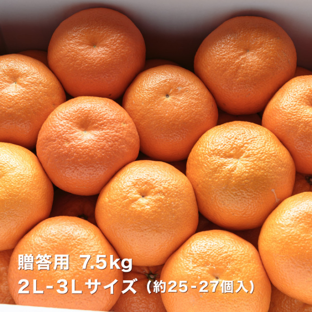贈答伊予柑7.5kgイメージ