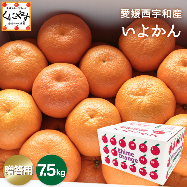 贈答いよかん7.5kg