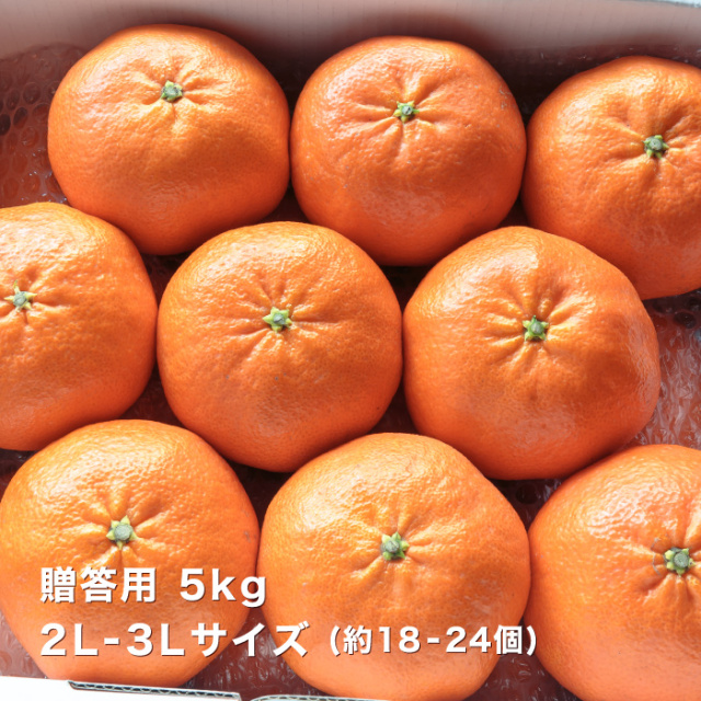 贈答イメージ5