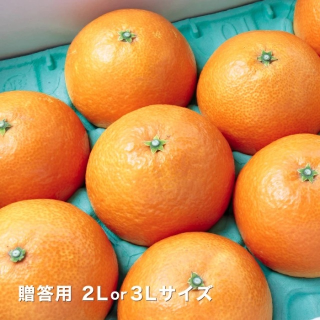 贈答まどんな2.5kgイメージ
