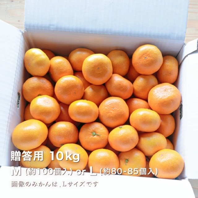 贈答みかん10kgイメージ