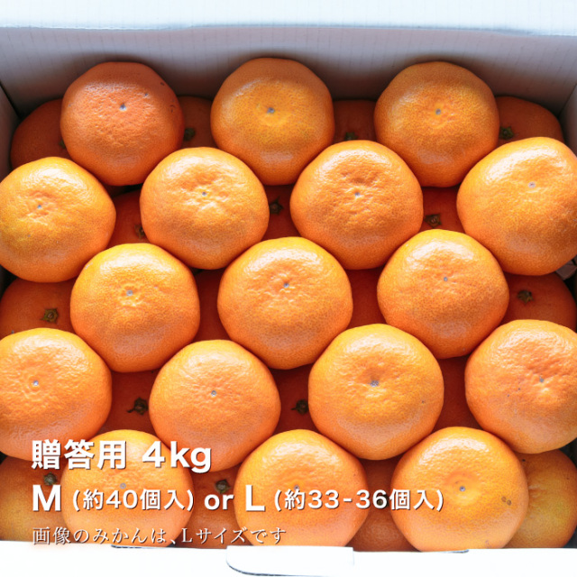 楽天市場】むかん 2個入（1袋2個入／1個50g） ［外皮をむいた