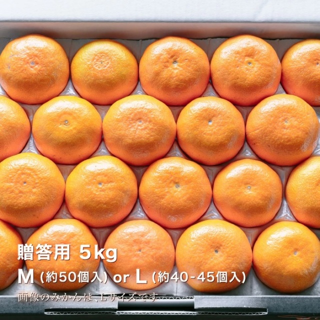 贈答みかん5kgイメージ