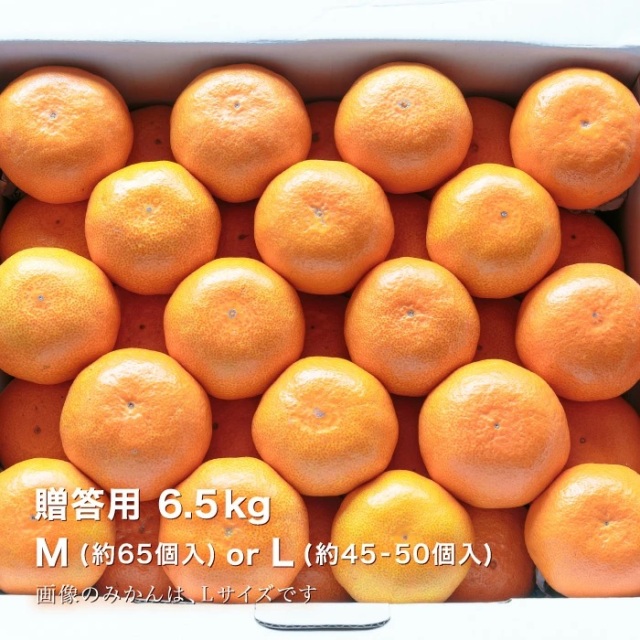 贈答みかん6.5kgイメージ