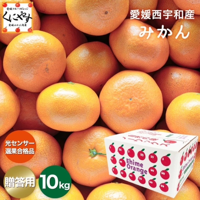 贈答みかん10kg
