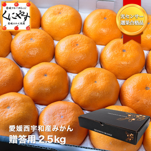 贈答みかん2.5サムネイル