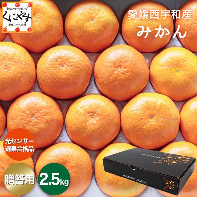 贈答用みかん