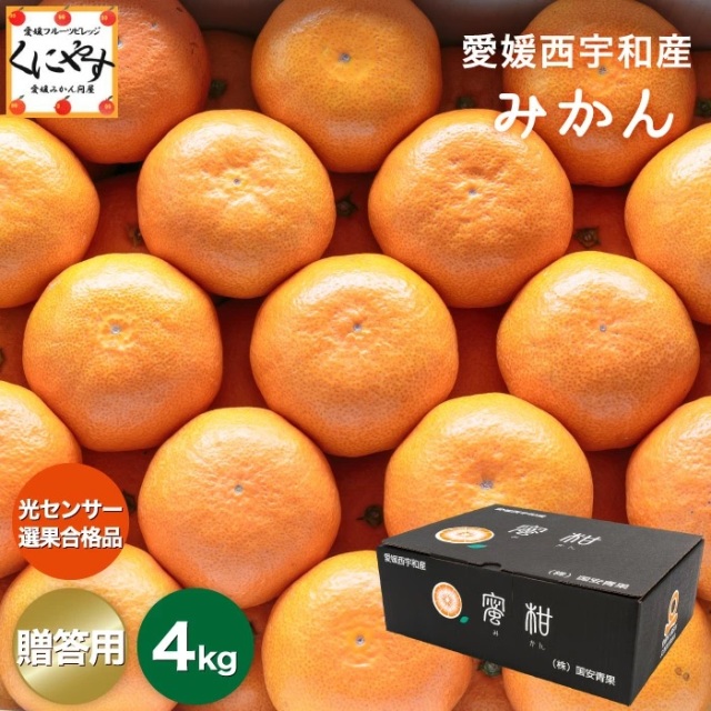 贈答みかん4kg