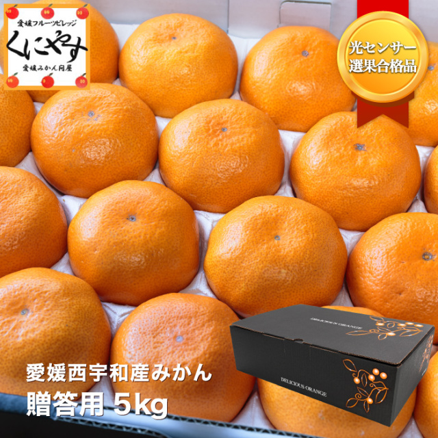 贈答みかん5サムネイル