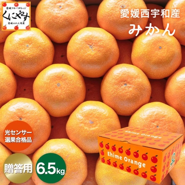 贈答みかん6.5kg
