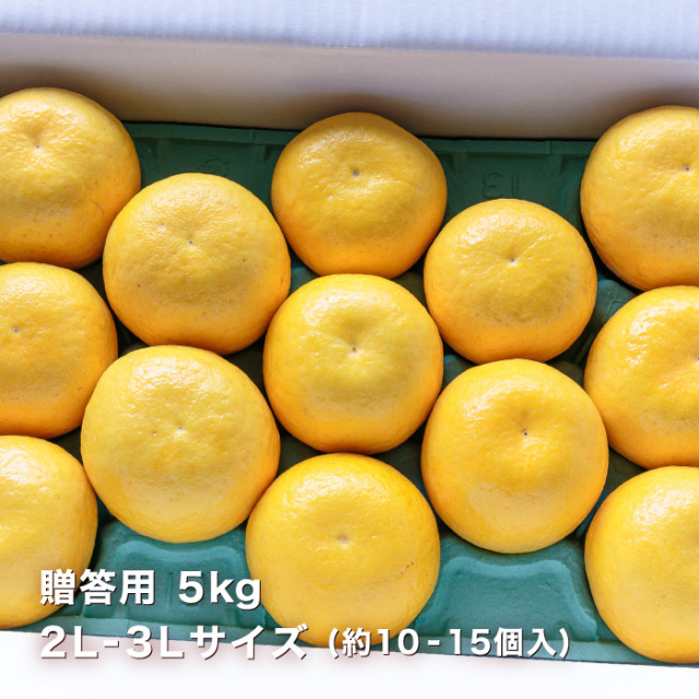 商品イメージ