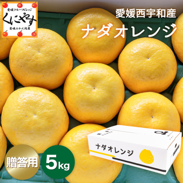 愛媛西宇和産の高級柑橘ナダオレンジは大切な方への贈り物におすすめ