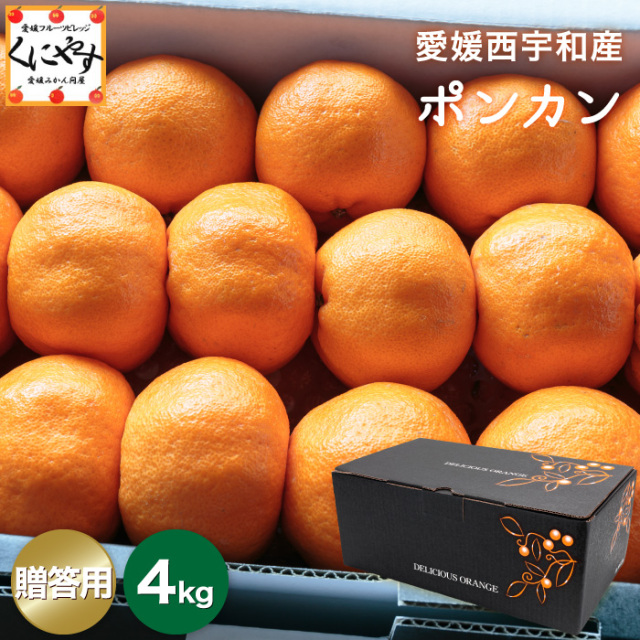 贈答ポンカン4.5kg