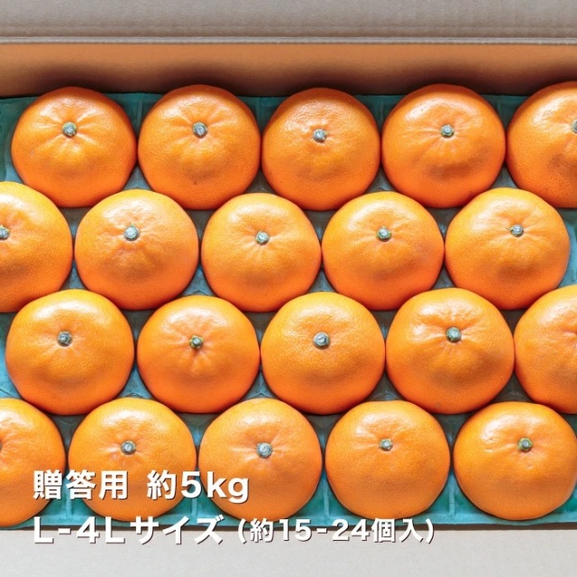 愛媛が誇る高級柑橘せとかはギフトにもおすすめ【贈答用5kg】