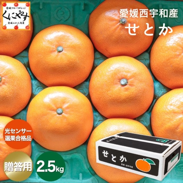 「贈答せとか2.5」【送料無料】【ギフト】【産地直送】 愛媛西宇和産せとか 贈答用約2.5キロ【1～5営業日以内当店発送予定】