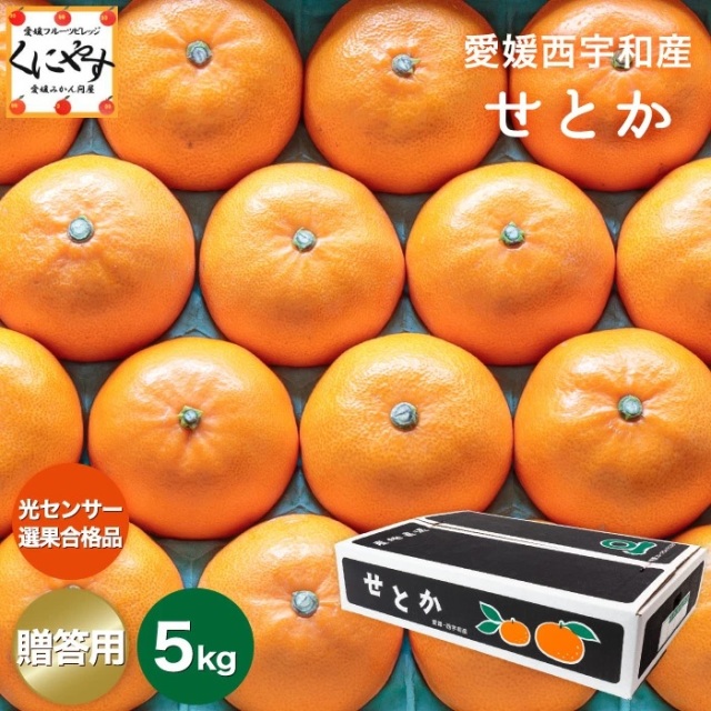 「贈答せとか5」【送料無料】【ギフト】【贈答用】【産地直送】愛媛西宇和産せとか 贈答用約5キロ 創業85年 愛媛みかん の老舗！西宇和みかん 八幡浜みかん【1～5営業日以内当店発送予定】