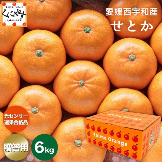 「贈答せとか6」【送料無料】愛媛西宇和産せとか 贈答用約6キロ/究極の柑橘！みかんの大トロ【1～5営業日以内当店発送予定】