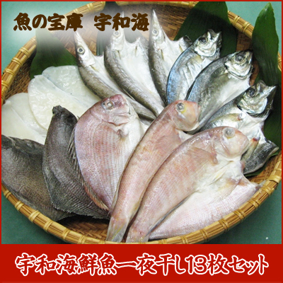 【送料無料】【ギフト】 【産地直送】【天然魚】宇和海朝獲れ鮮魚の「一夜干し13枚セット」【鮮度抜群CAS冷凍品】（真鯛1枚、メイタカレイ2枚、アマダイ2枚、カマス3枚、釣アジ3枚、スミイカ2枚）