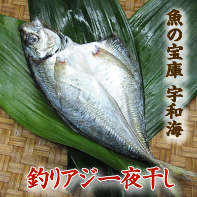 【送料別】【天然魚】宇和海朝獲れ鮮魚の一夜干し釣アジ1枚