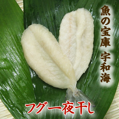 【送料別】【天然魚】宇和海朝獲れ鮮魚の一夜干し釣フグ1枚