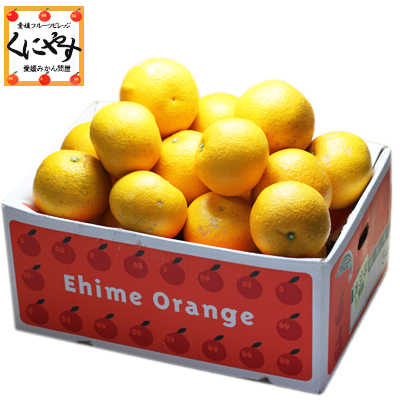 訳ありはっさく