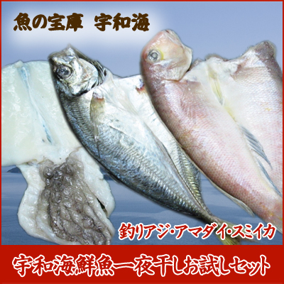 【送料無料】【ギフト】 【産地直送】【天然魚】宇和海朝獲れ鮮魚の「一夜干しお試し3枚セット」（釣アジ・アマダイ・スミイカ）【鮮度抜群CAS冷凍品】