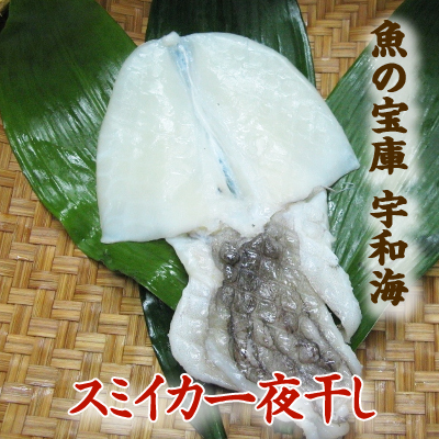 【送料別】【天然魚】宇和海朝獲れ鮮魚の一夜干し釣スミイカ1枚