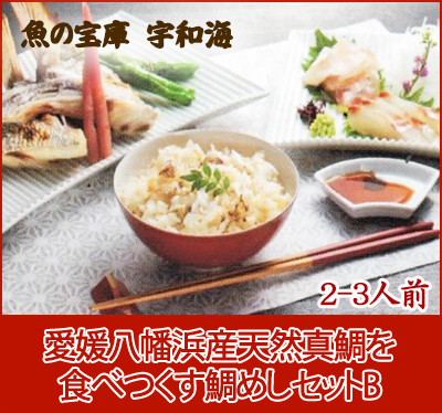 【送料無料】【ギフト】 【産地直送】【天然魚】愛媛八幡浜産天然真鯛を食べつくす「鯛めしセットB(2-3人前)」【鮮度抜群CAS冷凍品】