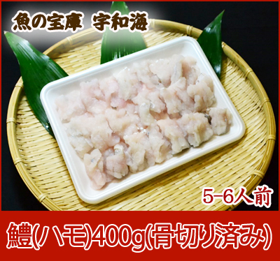 【送料無料】【ギフト】 【産地直送】【天然魚】「鱧(ハモ)5-6人前400g(骨切り済み)」【鮮度抜群CAS冷凍品】