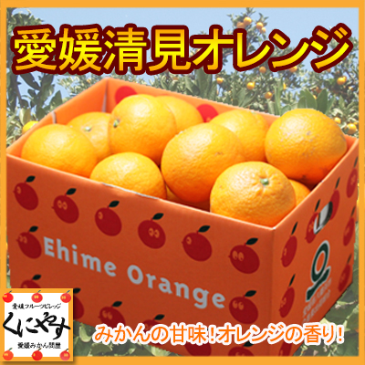 【本店限定】【送料無料】愛媛西宇和産 清見オレンジ(清見タンゴール)12kg(3キロ×3箱＋1箱)3箱セットご購入で1箱プレゼント！/デコポン・せとかの母【訳あり品】「本店訳あり清見12kg」