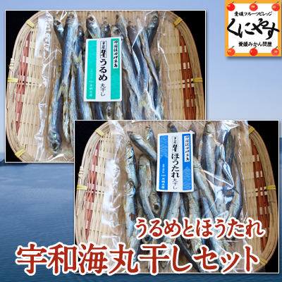 【送料無料】【ゆうパケット】選べるセット】 宇和海「うるめ・ほうたれ丸干しセット」 (100g×2パック)