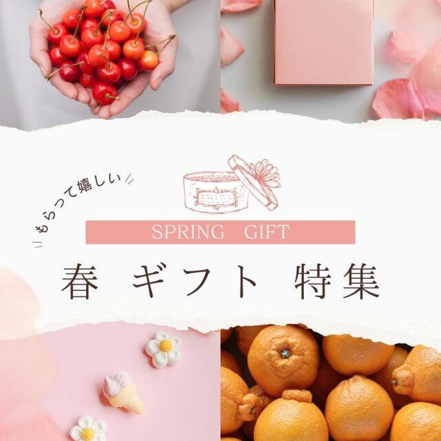 爽やかな味わいの愛媛西宇和産のナダオレンジを少量から楽しめるお試し用