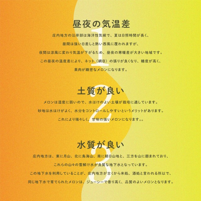 庄内産プレミアムメロン