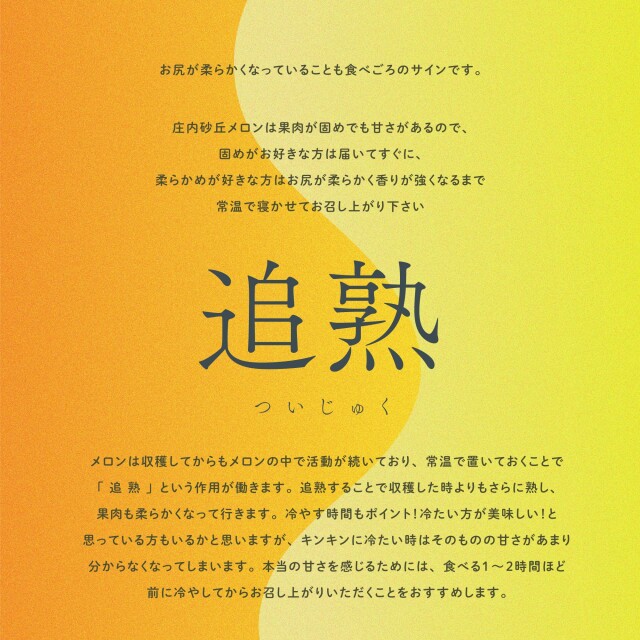 庄内産プレミアムメロン