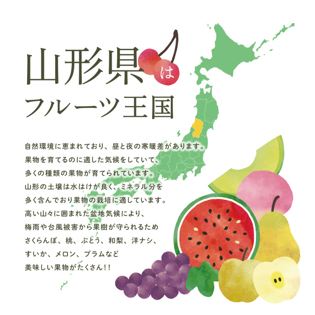 庄内産プレミアムメロン