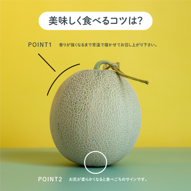 庄内産プレミアムメロン