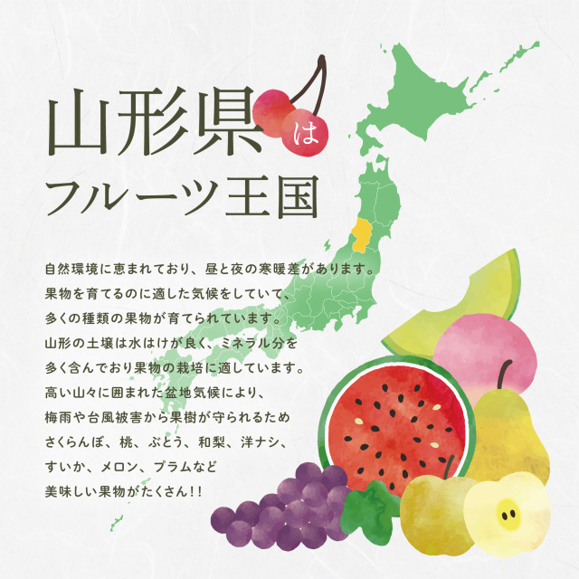 山形産サンふじ