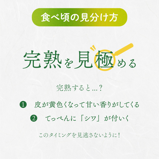 スーパーラフランス
