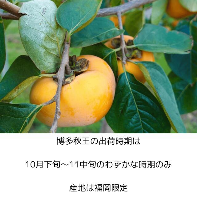 秋王