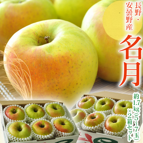 名月りんご