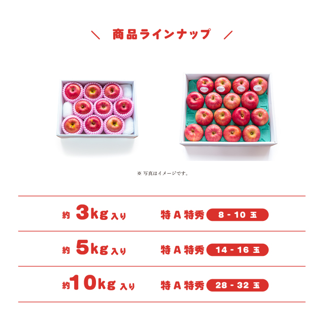 長野産サンふじ