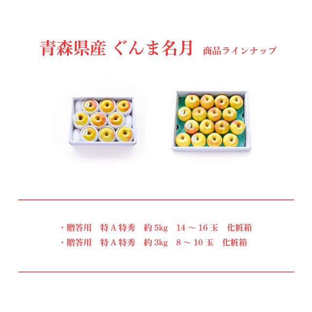 青森県産‼️ぐんま名月ご予約コメントフォーム✨ ギフトにもおすすめ！甘みが強く、風味豊かな青森産のぐんま名月（約3kg）