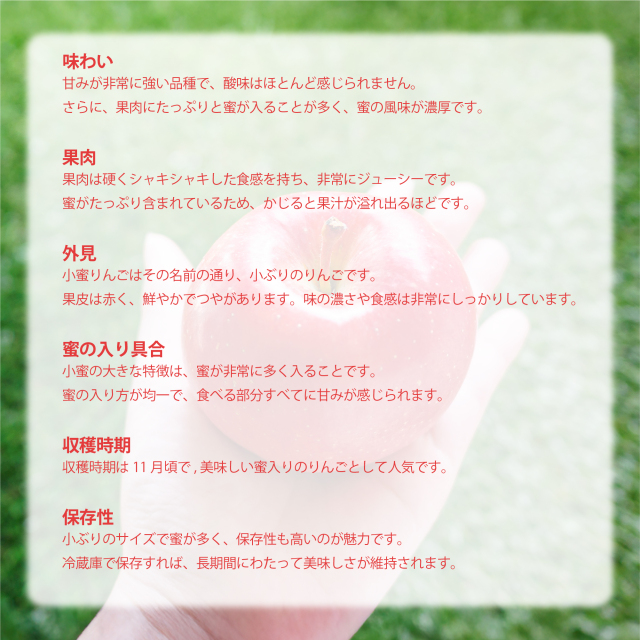 小蜜りんご