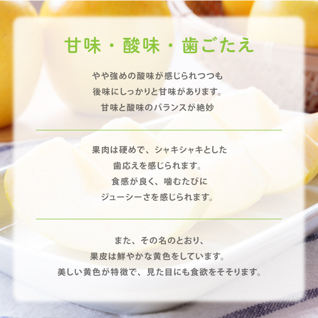 黄金色に輝く、すっきりとした味わいのシナノゴールド販売中（約3kg）