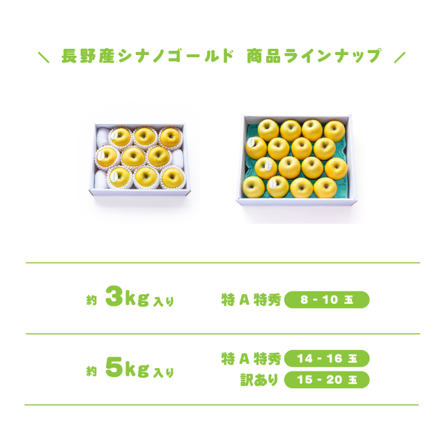 黄金色に輝く、すっきりとした味わいのシナノゴールド販売中（約3kg）