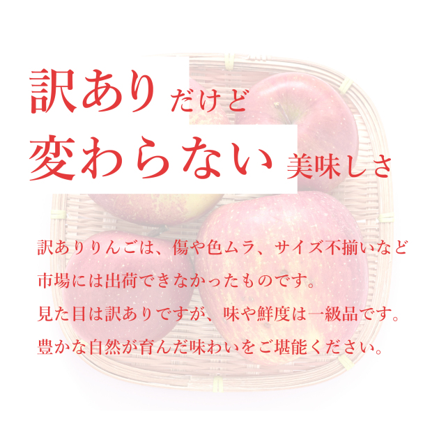 訳あり青森産サンふじ